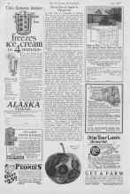 Better Homes & Gardens June 1927 Magazine Article: Bitter Rot of Apple Is Dangerous