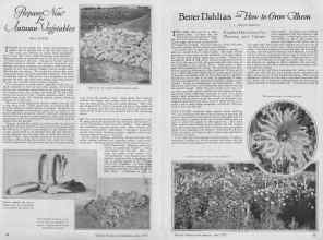 Better Homes & Gardens June 1927 Magazine Article: Page 14