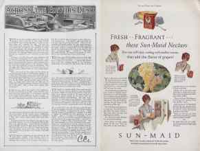 Better Homes & Gardens June 1927 Magazine Article: Page 78
