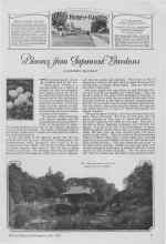 Better Homes & Gardens July 1927 Magazine Article: Blooms from Japanese Gardens
