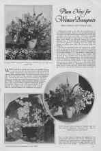 Better Homes & Gardens July 1927 Magazine Article: Plan Now for Winter Bouquets