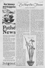 Better Homes & Gardens July 1927 Magazine Article: To Keep Out Flowers