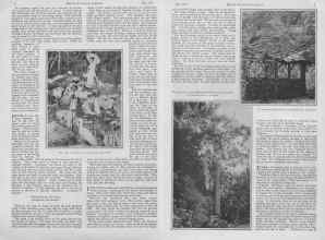Better Homes & Gardens July 1927 Magazine Article: Page 6
