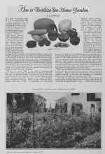 Better Homes & Gardens August 1927 Magazine Article: How to Fertilize the Home Garden