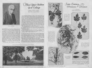 Better Homes & Gardens September 1927 Magazine Article: Page 10