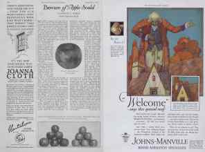 Better Homes & Gardens September 1927 Magazine Article: Page 46