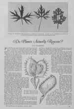 Better Homes & Gardens October 1927 Magazine Article: Do Plants Actually Reason?