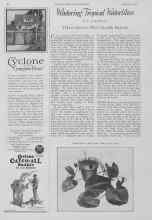 Better Homes & Gardens October 1927 Magazine Article: Wintering Tropical Waterlilies