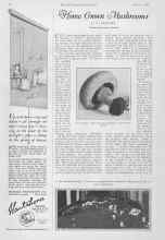 Better Homes & Gardens October 1927 Magazine Article: Home Grown Mushrooms