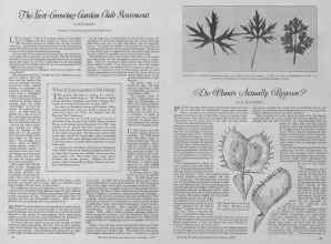 Better Homes & Gardens October 1927 Magazine Article: Page 20