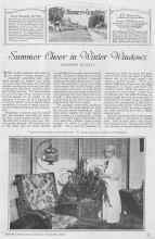 Better Homes & Gardens November 1927 Magazine Article: Summer Cheer in Winter Windows