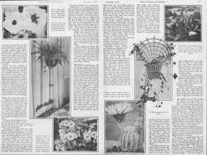 Better Homes & Gardens November 1927 Magazine Article: Page 6