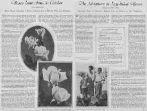 Better Homes & Gardens November 1927 Magazine Article: Page 10
