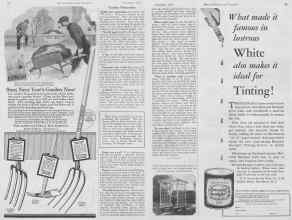 Better Homes & Gardens November 1927 Magazine Article: Garden Reminders