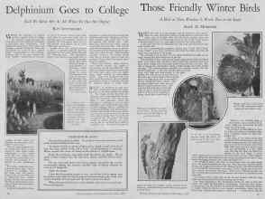 Better Homes & Gardens December 1927 Magazine Article: Page 14