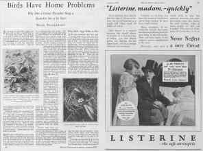 Better Homes & Gardens January 1928 Magazine Article: Page 26