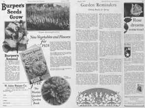 Better Homes & Gardens January 1928 Magazine Article: Page 34