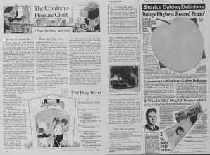 Better Homes & Gardens January 1928 Magazine Article: The Children's Pleasure Cheﬆ