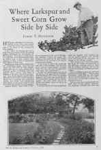 Better Homes & Gardens February 1928 Magazine Article: Where Larkspur and Sweet Corn Grow Side by Side