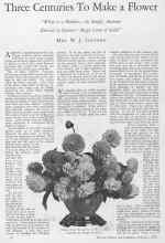 Better Homes & Gardens February 1928 Magazine Article: Three Centuries To Make a Flower