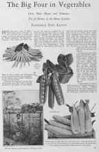 Better Homes & Gardens February 1928 Magazine Article: The Big Four in Vegetables