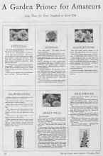 Better Homes & Gardens February 1928 Magazine Article: A Garden Primer for Amateurs