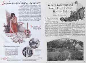 Better Homes & Gardens February 1928 Magazine Article: Page 6