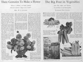 Better Homes & Gardens February 1928 Magazine Article: Page 14