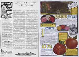 Better Homes & Gardens February 1928 Magazine Article: Page 100