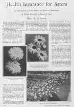 Better Homes & Gardens March 1928 Magazine Article: Health Insurance for Asters