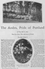 Better Homes & Gardens March 1928 Magazine Article: The Azalea, Pride, of Portland