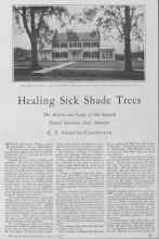 Better Homes & Gardens March 1928 Magazine Article: Healing Sick Shade Trees