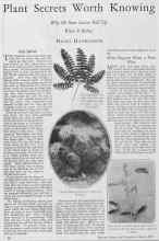 Better Homes & Gardens March 1928 Magazine Article: Plant Secrets Worth Knowing