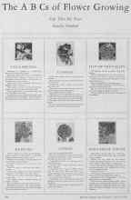 Better Homes & Gardens March 1928 Magazine Article: The A B Cs of Flower Growing