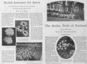 Better Homes & Gardens March 1928 Magazine Article: Page 10