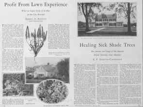 Better Homes & Gardens March 1928 Magazine Article: Page 22