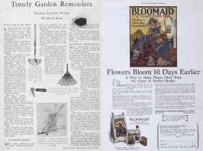 Better Homes & Gardens March 1928 Magazine Article: Page 120