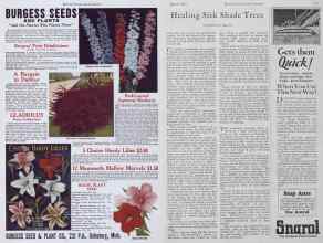 Better Homes & Gardens March 1928 Magazine Article: Page 122