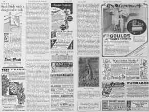 Better Homes & Gardens March 1928 Magazine Article: The First Wild Flower of Spring