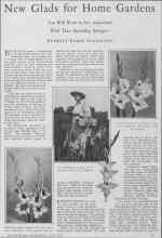 Better Homes & Gardens April 1928 Magazine Article: New Glads for Home Gardens