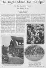 Better Homes & Gardens April 1928 Magazine Article: The Right Shrub for the Spot