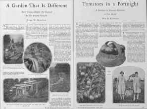 Better Homes & Gardens April 1928 Magazine Article: Page 26