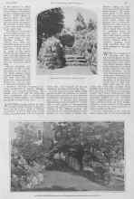 Better Homes & Gardens May 1928 Magazine Article: Article