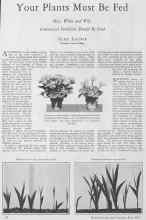 Better Homes & Gardens May 1928 Magazine Article: Your Plants Must Be Fed