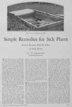 Better Homes & Gardens May 1928 Magazine Article: Simple Remedies for Sick Plants