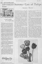Better Homes & Gardens May 1928 Magazine Article: Summer Care of Tulips