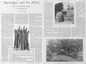 Better Homes & Gardens May 1928 Magazine Article: Page 16