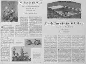 Better Homes & Gardens May 1928 Magazine Article: Page 26