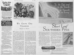 Better Homes & Gardens May 1928 Magazine Article: Page 98