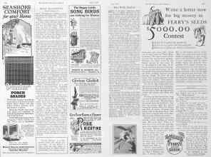 Better Homes & Gardens May 1928 Magazine Article: Page 104